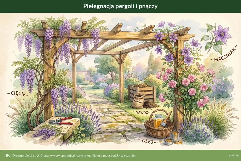 pielęgnacja pergoli i pnączy